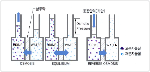 Flow Sheet